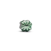 Charm Pandora Donna in Argento 794817C01